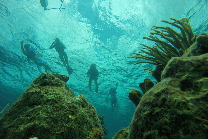 Aruba Kayak Explorers - Kayaking and Snorkeling