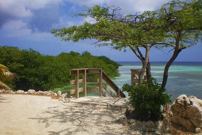 Aruba Mangel Halto and Baby Beach Snorkeling Guided Tour - Snorkeling and Equipment