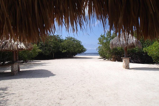 Aruba Mangel Halto and Baby Beach Snorkeling Guided Tour - The Sum Up