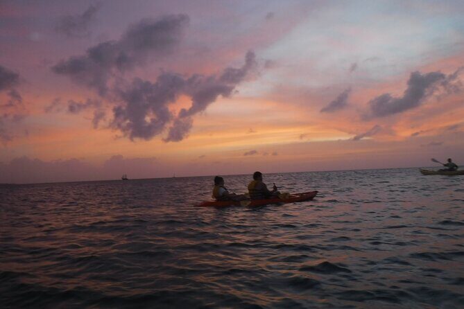 Aruba Night Glass Kayak Tour - The Night Sky and Quiet Reflection