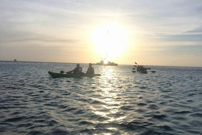Aruba Night Glass Kayak Tour - Price and Value