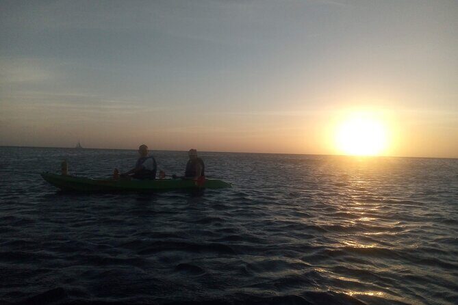 Aruba Night Glass Kayak Tour - What to Expect from the Itinerary