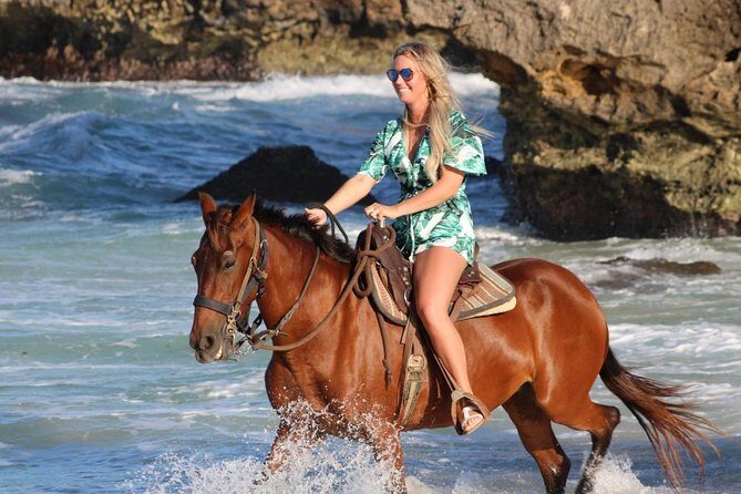 Aruba North Coastline: Small-Group Horseback Riding Tour - Key Points