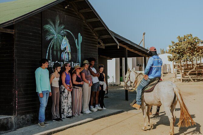 Aruba North Coastline: Small-Group Horseback Riding Tour - Introduction: An Alternative Look at Aruba’s North Coast