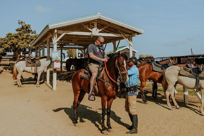 Aruba North Coastline: Small-Group Horseback Riding Tour - What to Expect from the Experience