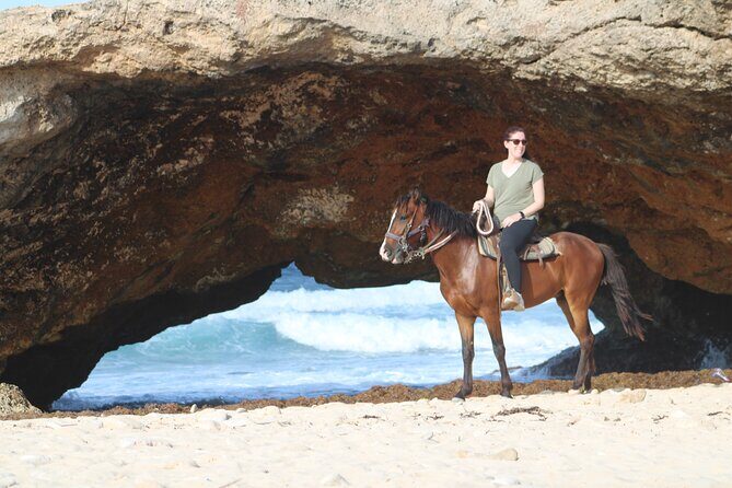 Aruba North Coastline: Small-Group Horseback Riding Tour - What the Reviews Tell Us