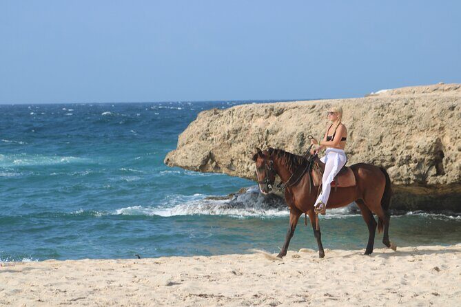 Aruba North Coastline: Small-Group Horseback Riding Tour - The Sum Up: Who Will Love This Tour?
