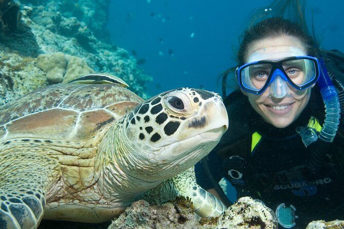 Aruba One or Two Tank Scuba Dive - The Reviewers Say It All