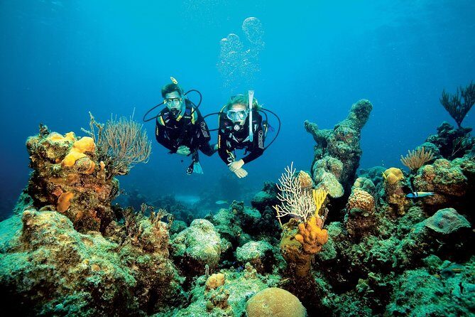 Aruba One or Two Tank Scuba Dive - FAQ