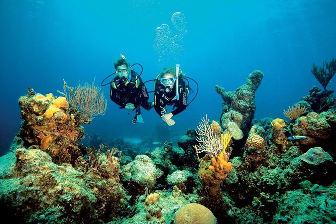 Aruba One or Two Tank Scuba Dive - Overview of Aruba Diving