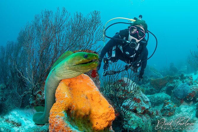 Aruba One or Two Tank Scuba Dive - Meeting and Departure Details