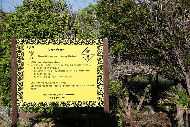 Aruba Ostrich Farm Tour with Lunch - Who Should Consider This Tour?