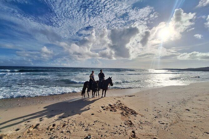 Aruba Private, 2 Hour Horseback Riding Tour For Advanced Riders - A Thorough Look at the Experience