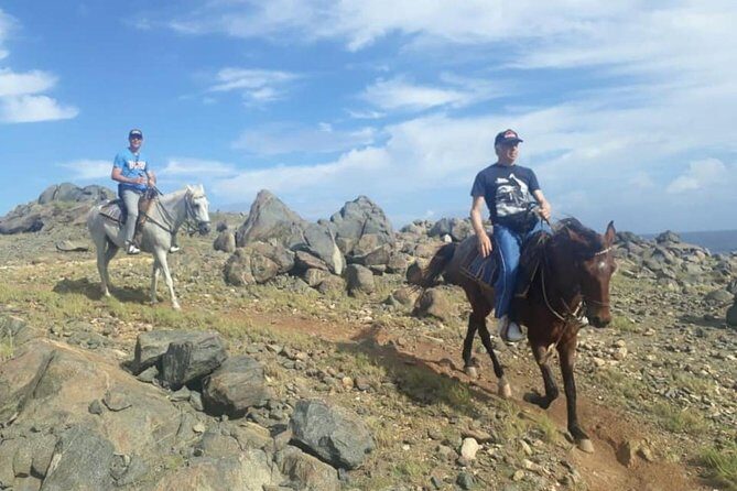 Aruba Private, 2 Hour Horseback Riding Tour For Advanced Riders - The Sum Up