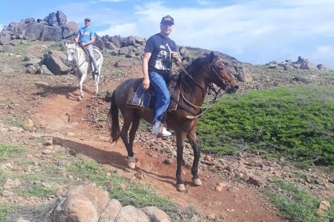 Aruba Private, 2 Hour Horseback Riding Tour For Advanced Riders - Inclusions and Amenities