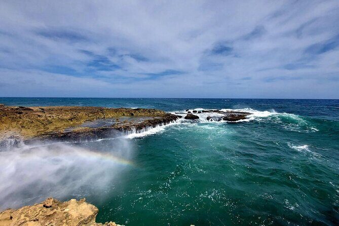 Aruba Private 8 Hour Full Island Customized Adventure Tour - Key Points