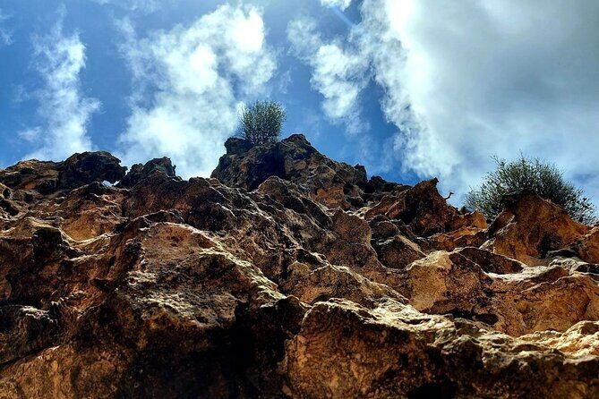 Aruba Private 8 Hour Full Island Customized Adventure Tour - Authenticity and Value