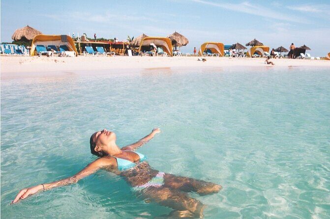 Aruba Private Tour with SeaFood/Caribbean Food Included - Key Points