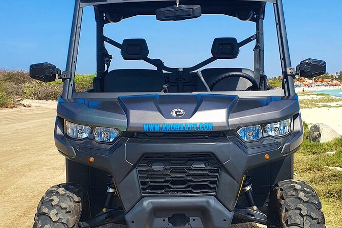 Aruba Rental Explore On Your Own - Exploring the Details: What You Can Expect