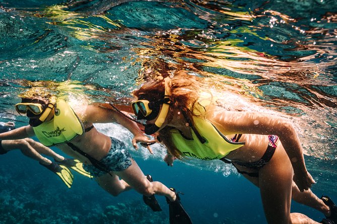 Aruba Sail and Snorkel With Crafted Cocktails - Discovering the Antilla Shipwreck