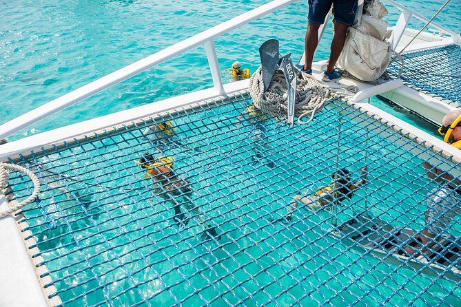 Aruba Sail and Snorkel With Crafted Cocktails - Whats Included in the Tour