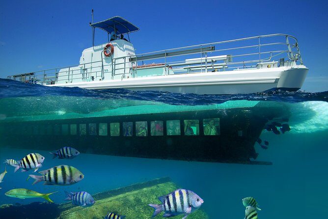 Aruba Semi-Submarine Cruise from Palm Beach - Key Points