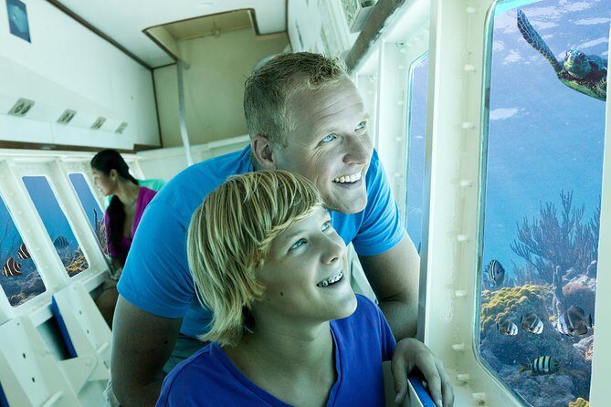 Aruba Semi-Submarine Cruise from Palm Beach - Practical Tips for Travelers