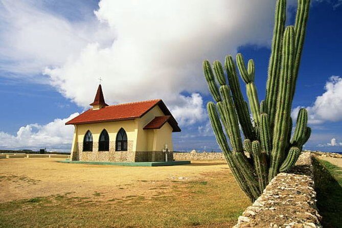 Aruba Shore Excursion: The Highlights and Delights Tour - Key Points