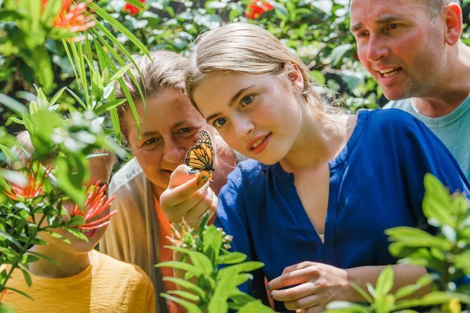 Aruba Sightseeing Tour with Transport - Who Should Book This Tour?