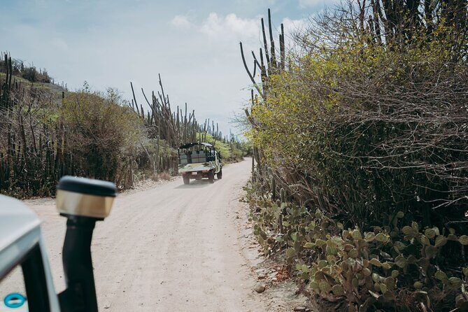 Aruba Signature Jeep Tour: Natural Pool and Baby Beach - Authentic and Local Experiences