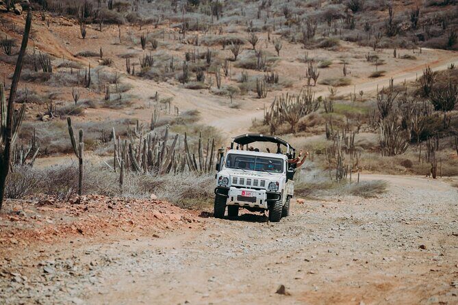 Aruba Signature Jeep Tour: Natural Pool and Baby Beach - FAQs