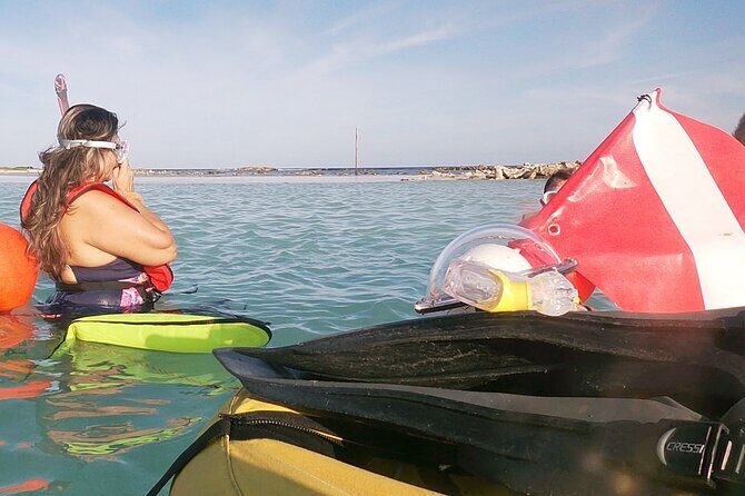 Aruba Snorkeling Tour: Mangel Halto and Baby Beach - Key Points  