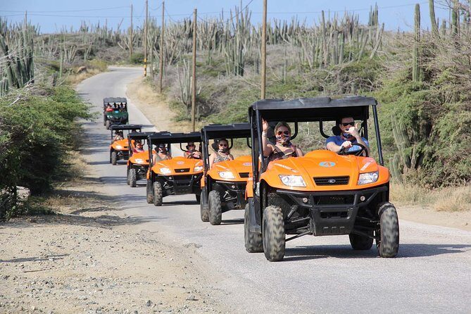 Aruba UTV Tour with Natural Cave Pool and Cliff Jumping - What to Expect with Logistics and Value