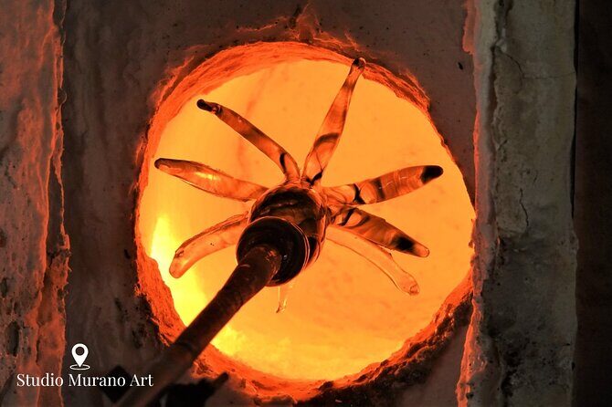 Aruba with Bus and Hop-on Hop-off Tour - Frequently Asked Questions