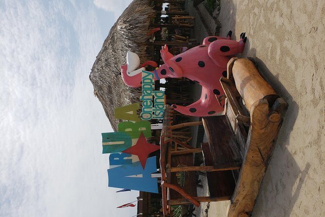 Arubabound Transfers - A Detailed Look at Arubabound Transfers