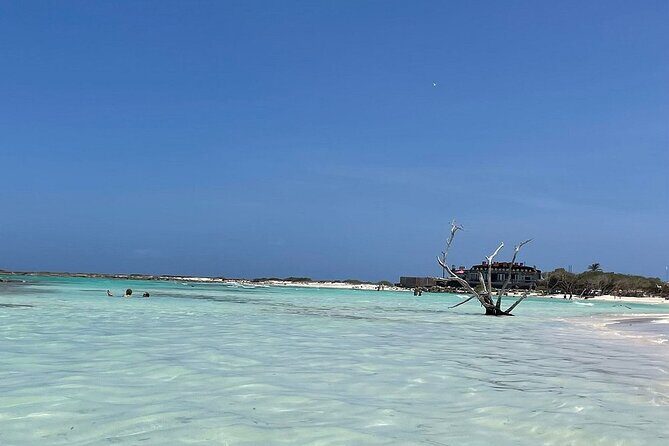 Aruban Local Lunch and Baby Beach Snorkeling - The Street Art Drive Through San Nicolas