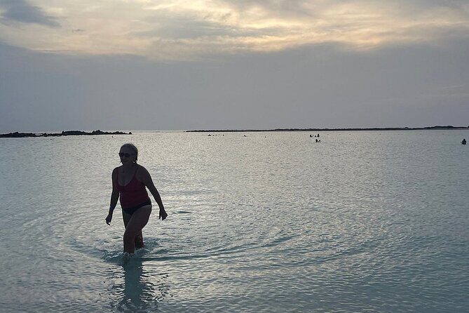 Aruban Local Lunch and Baby Beach Snorkeling - Transportation, Timing, and Practicalities