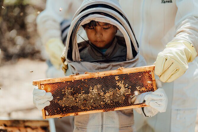 Aruba´s Bee Haven Private Adventure - Who Should Consider This Tour?