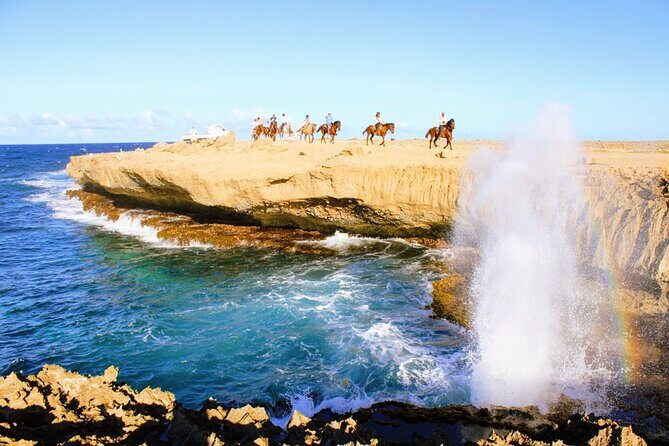 Aruba's Northern Coast Horseback Adventure - An Introduction to Aruba’s Northern Coast Horseback Adventure
