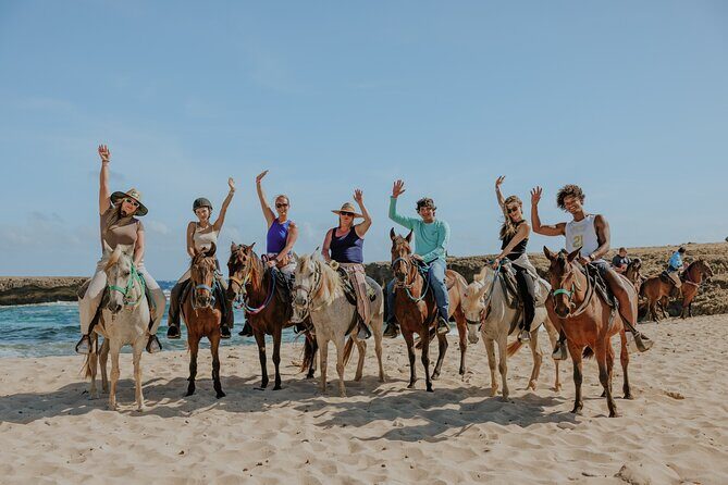 Aruba's Northern Coast Horseback Adventure - The Itinerary: A Step-by-Step Breakdown