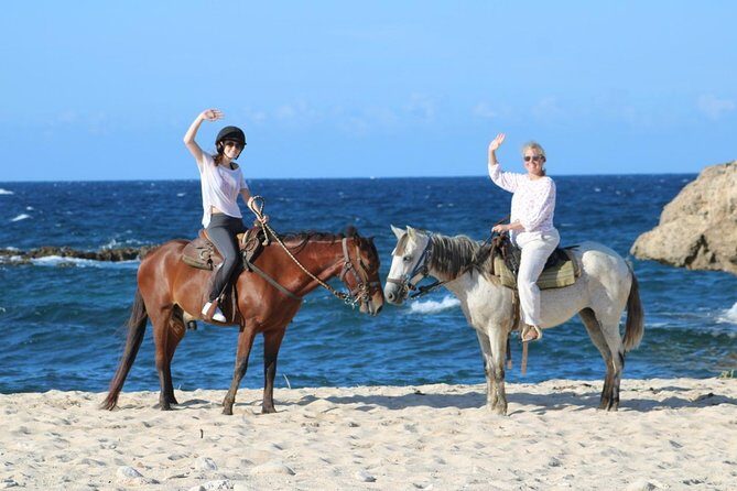 Aruba's Northern Coast Horseback Adventure - What Makes This Tour Stand Out