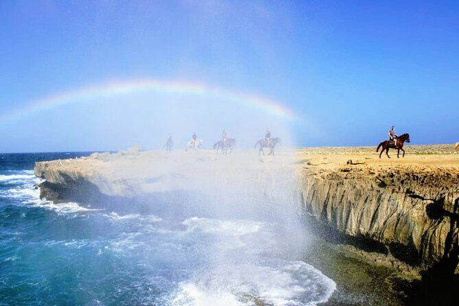 Aruba's Northern Coast Horseback Adventure - Is It Worth the Price?