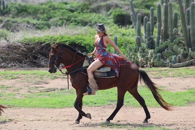 Aruba's Northern Coast Horseback Adventure - Who Should Book This Tour?