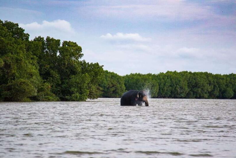 Arugambay :Pottuvil Lagoon Boat Safari Eco Tours - Key Points