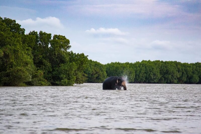 Arugambay :Pottuvil Lagoon Boat Safari Eco Tours - Wildlife and Nature
