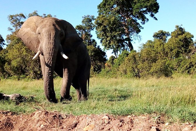 Arusha National Park Half Day Tour - Booking and Cancellation Policies