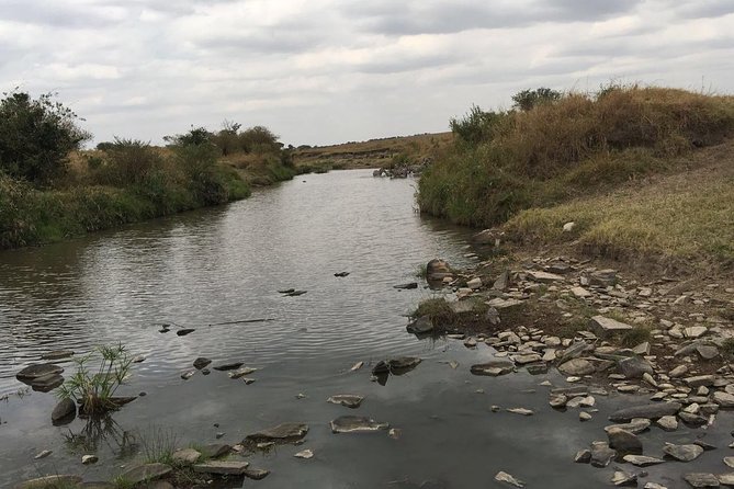 Arusha National Park Safari by Jeep - Inclusions and Pickup Details