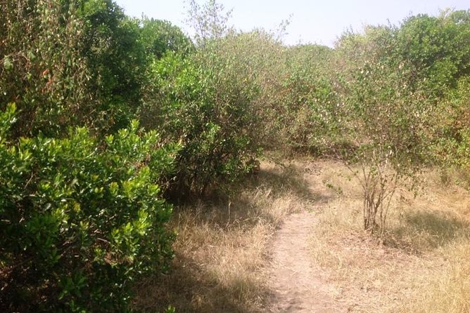 Arusha National Park Safari by Jeep - Knowledgeable Guide Experience