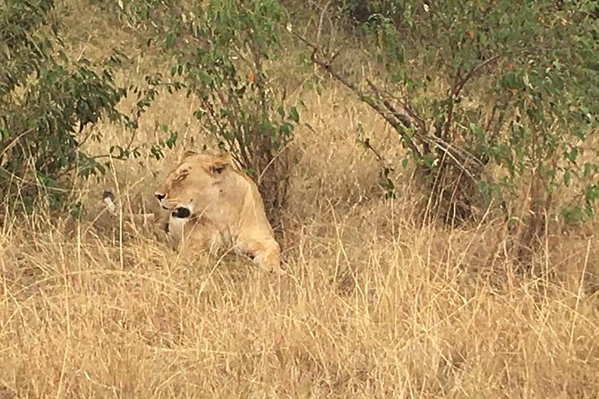 Arusha National Park Safari by Jeep - Frequently Asked Questions