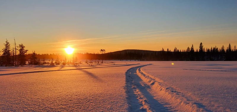 Arvidsjaur: 2-hour snowmobile tour in Swedish Lapland - Practical Tips for Participants